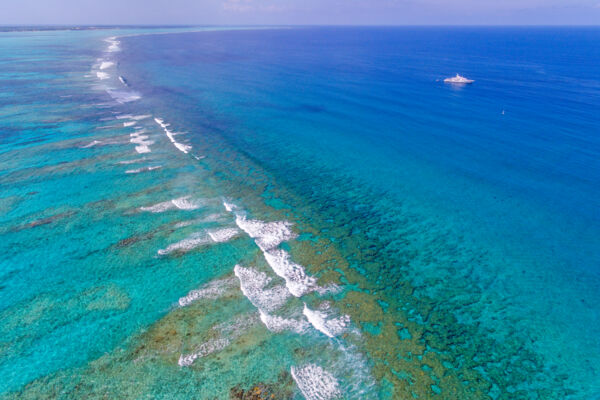 The barrier reef near Sellars Cut in the Princess Alexandra National Park