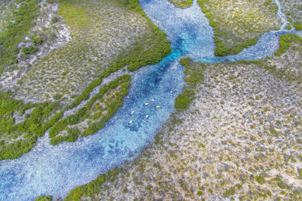 Aerial view of paddle boarders at Mangrove Cay in the Princess Alexandra Nature Reserve