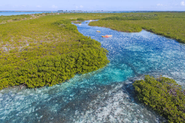 Aerial view of kayaks at Mangrove Cay
