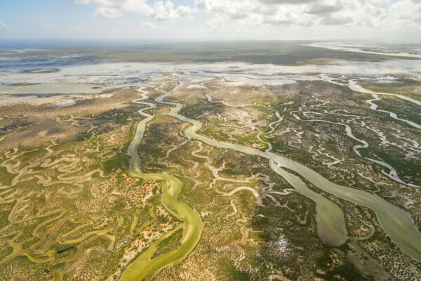 Aerial view of complex mangrove channels in the Turks and Caicos