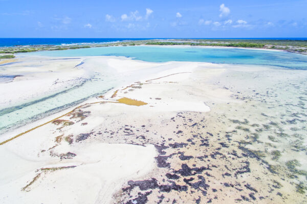 Aerial view of the shallow South Creek wetlands and tidal flats