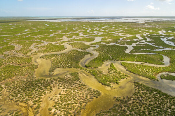 aerial view of the Ramsar Nature Reserve