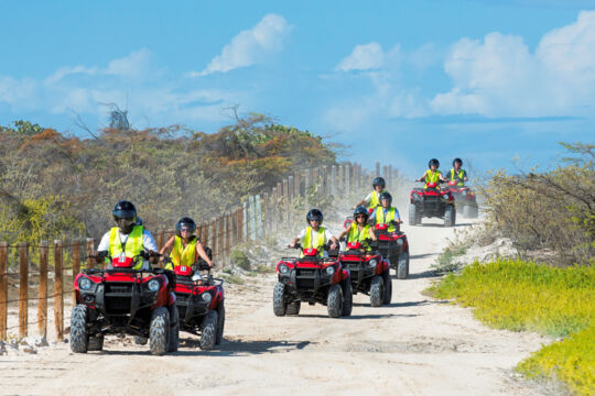 ATV tour in the marine wetlands of North Creek