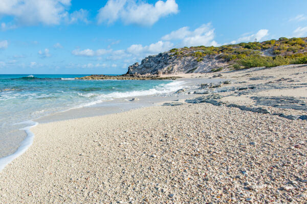 Sand and seashells at Balfour Town Beach