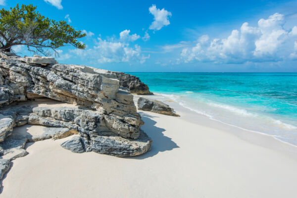 The beach at Water Cay with semi-lithified limestone cliffs
