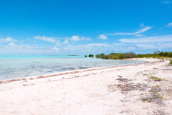 A small sheltered beach at Bell Sound lagoon