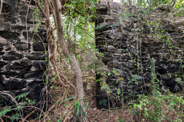 Ruins of a stone house from Belleview Plantation on North Caicos in the Turks and Caicos