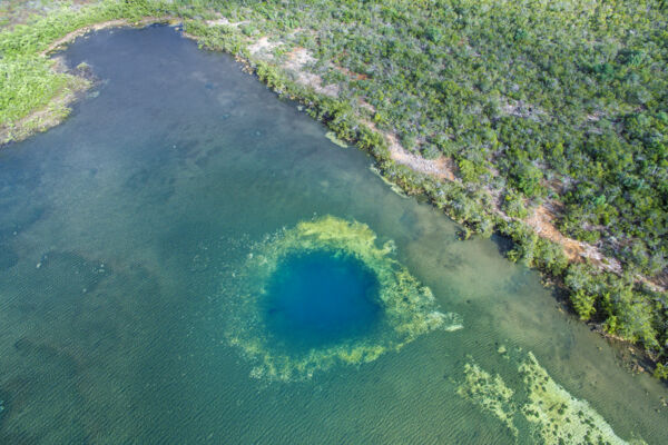 Blue hole underwater cave system in the Pigeon Pond and Frenchman's Creek Nature Reserve