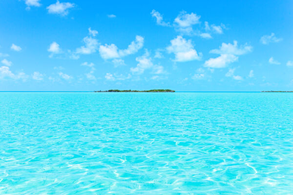 Man O War Bush and Vine Point in the Caicos Banks