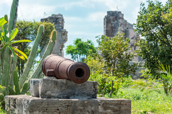 The cannon and Great House ruins at Cheshire Hall