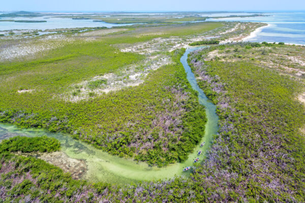 Aerial view of mangrove channels and barrier islands on Providenciales