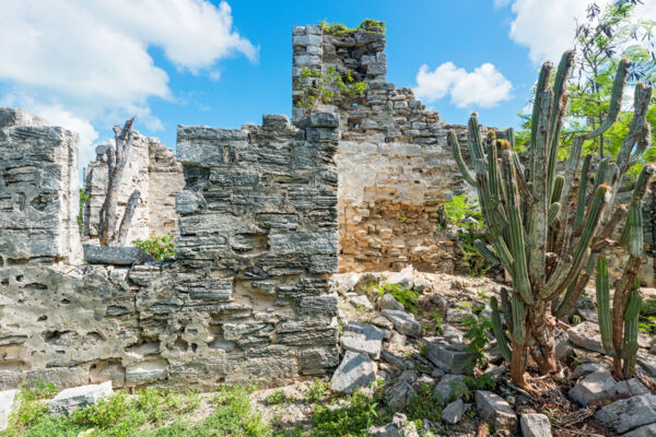 The walls and ruins of the Great House at Cheshire Hall