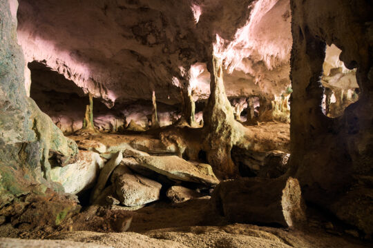 Columns in the main gallery at Conch Bar Caves