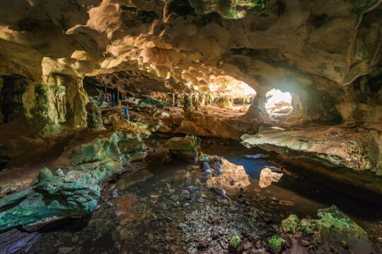 Large gallery in Conch Bar Caves