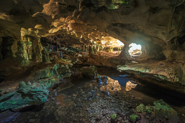 Shallow pool in Conch Bar Caves