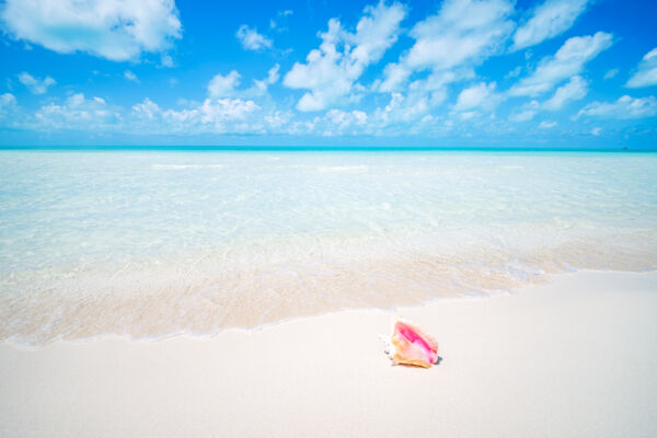 Taylor Bay Beach, Providenciales