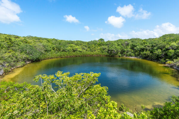 Cottage Pond Blue Hole