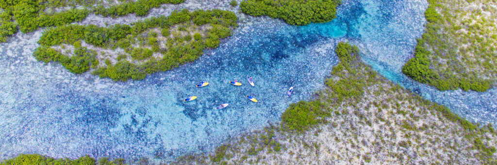 Aerial view of channel with red mangroves at Mangrove Cay in the Turks and Caicos