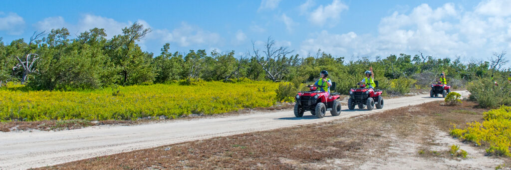 ATVs on a tour in North Creek on Grand Turk