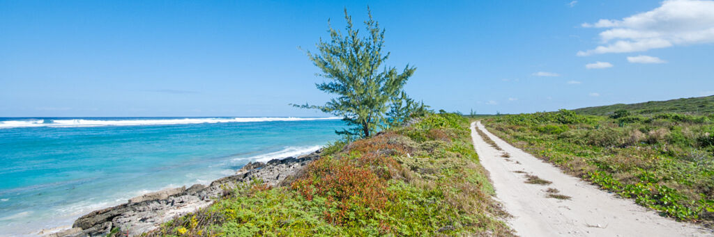 Coastal trail on Middle Caicos between Conch Bar and Bambarra