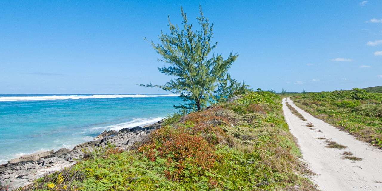 Population of the Turks and Caicos Visit Turks and Caicos Islands
