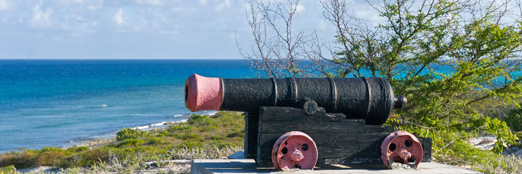 Black and red cannon on a coastal bluff on Salt Cay.