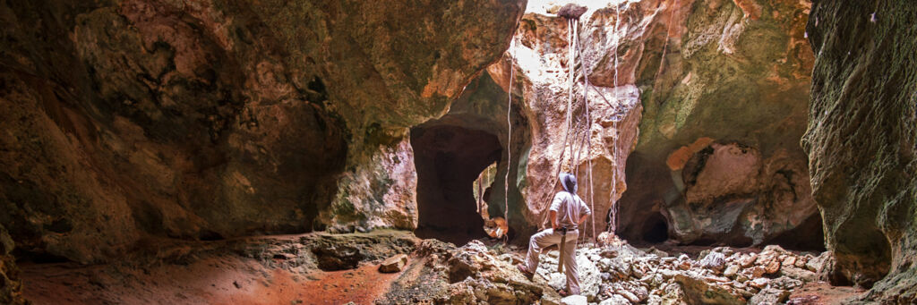 Open gallery and Karst features in the caves of East Caicos