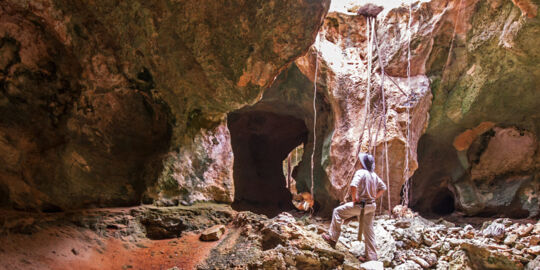 Open gallery and Karst features in the caves of East Caicos