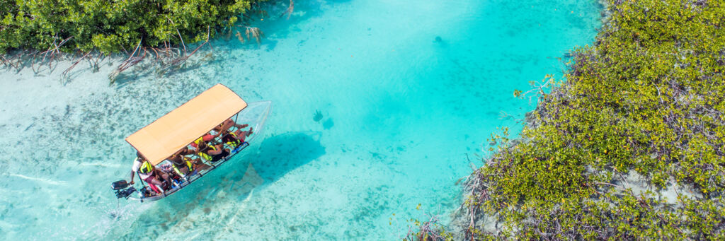 Clear boat excursions in a mangrove tidal channel