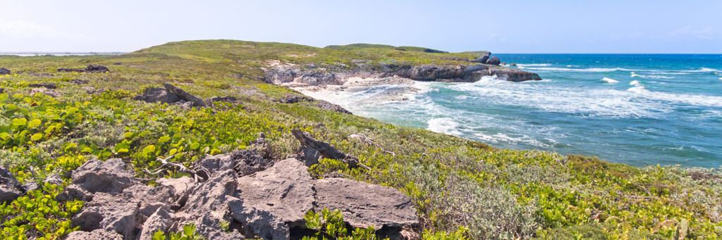 Waves crashing on the rugged cliffs at Norbellis Coves on Middle Caicos.