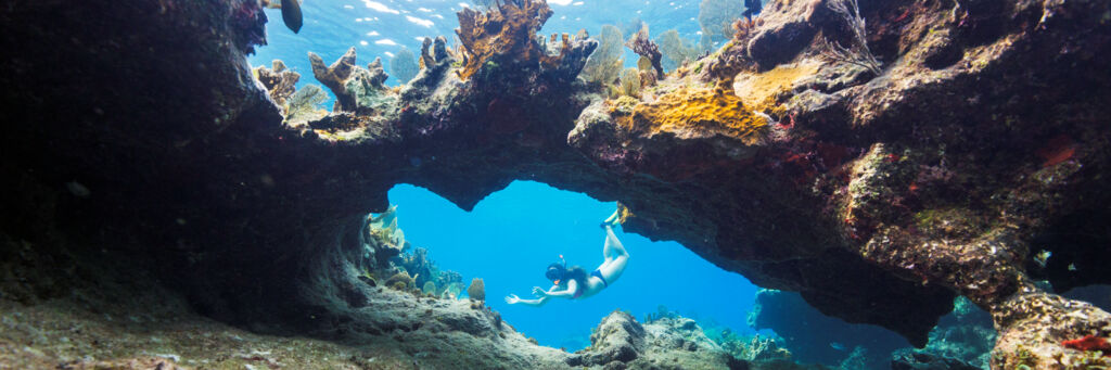 Coral arch and snorkeler in the Turks and Caicos