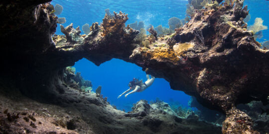 Coral arch and snorkeler at Sellar's Cut, Turks and Caicos