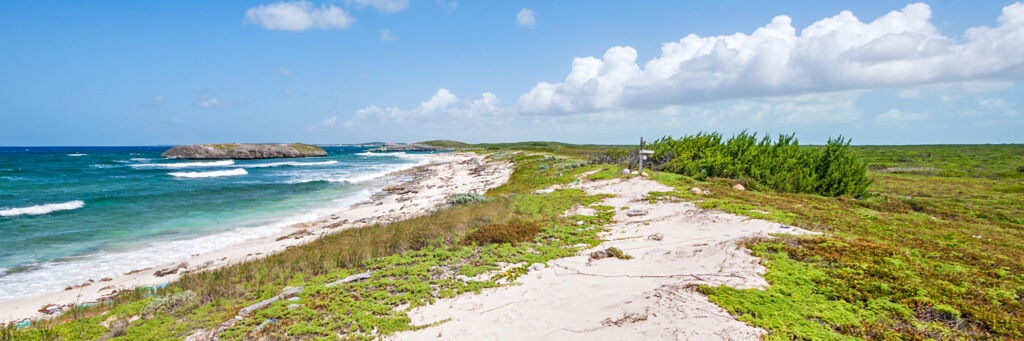 The coastal Crossing Place Trail near Norbellis Coves on Middle Caicos