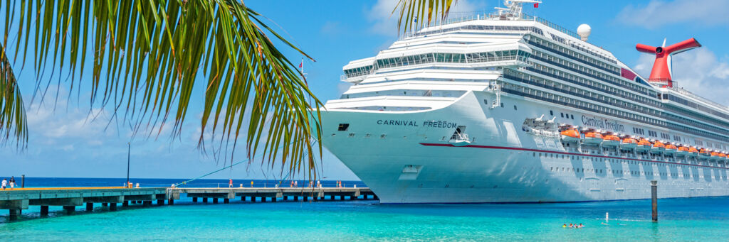 Coconut palm fronds and cruise ship at Grand Turk