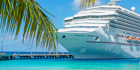 Coconut palm fronds and cruise ship at Grand Turk