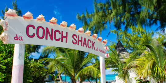 Sign and entrance for Da Conch Shack in Blue Hills