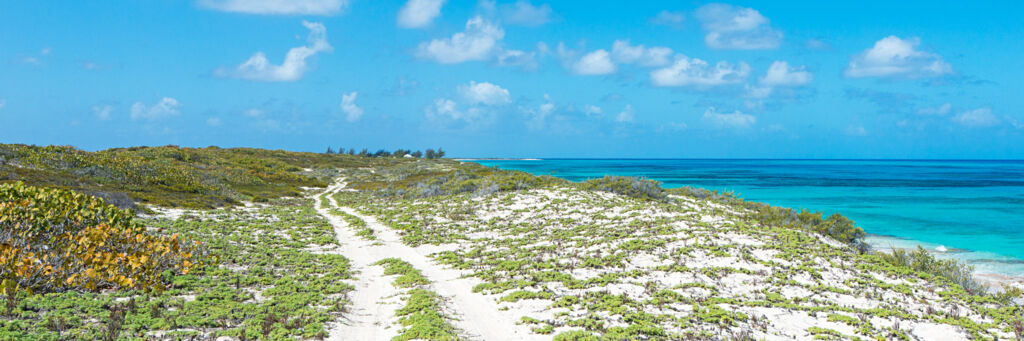 Sandy coastal track on the dunes near Northeast Point on Salt cay