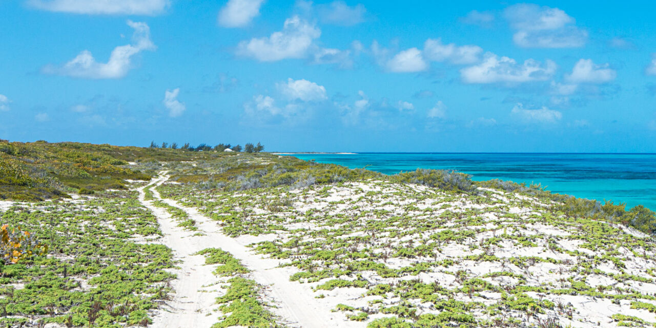 Rental Cars In Turks And Caicos Island Rental Cars In Turks And Caicos Island