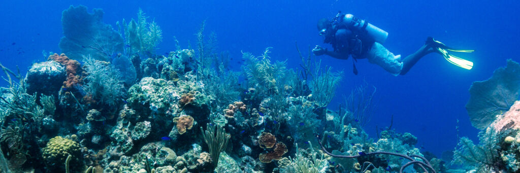 Scuba diver at a vibrant reef at English Point on Grand Turk