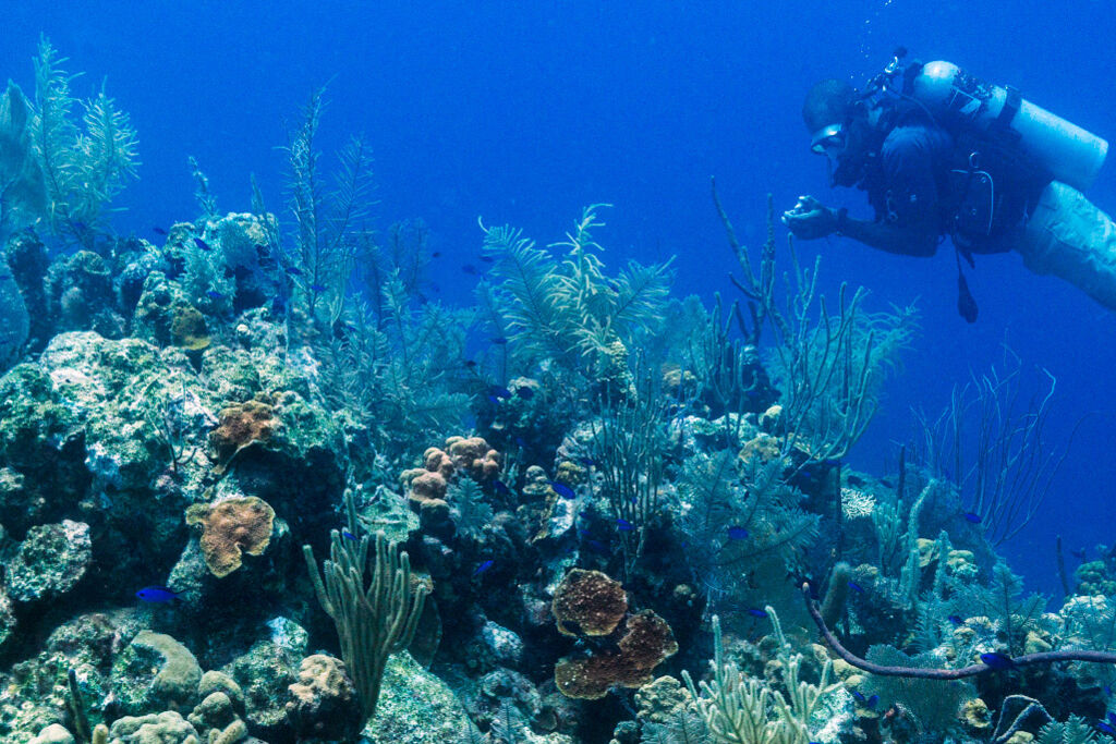 Scuba diver at a vibrant reef at English Point on Grand Turk