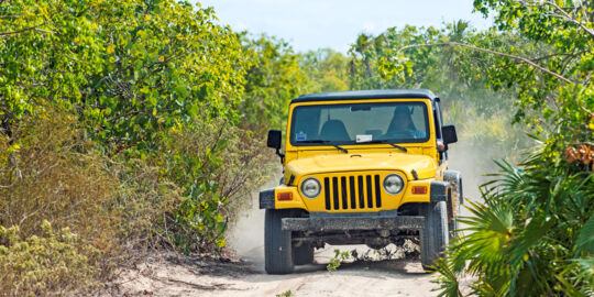 Jeep tour on South Caicos