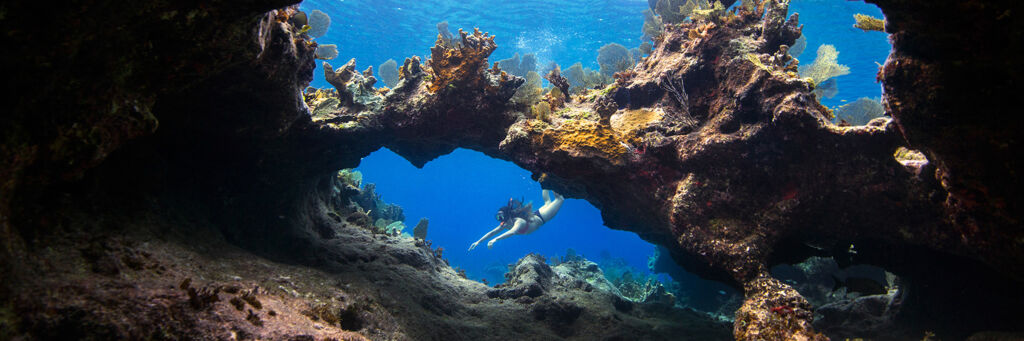 Coral arch and formations with snorkeler in the Princess Alexandra National Park