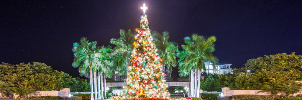 Large Christmas tree at the Seven Stars roundabout in Grace Bay