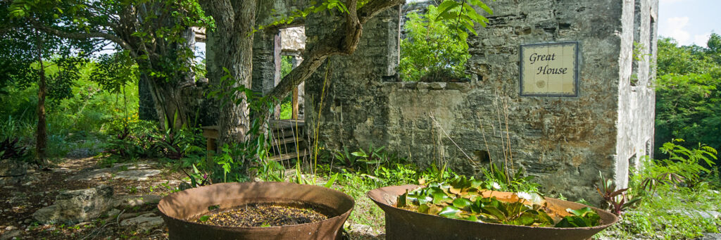 Cast iron boiling pots outside the ruins of the Great House at Wade's Green Plantation