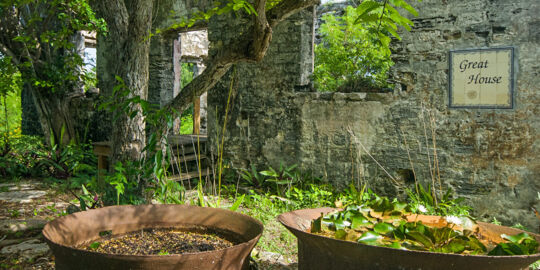 Cast iron boiling pots outside the ruins of the Great House at Wade's Green Plantation