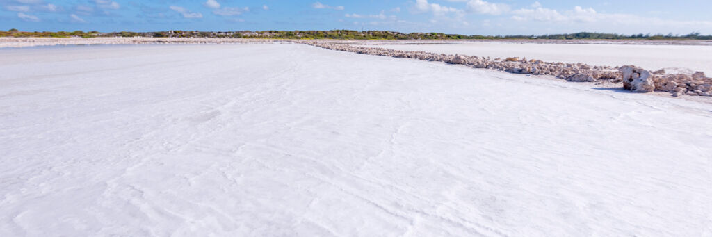 Salt crystals at Hawkes Nest Salina on Grand Turk