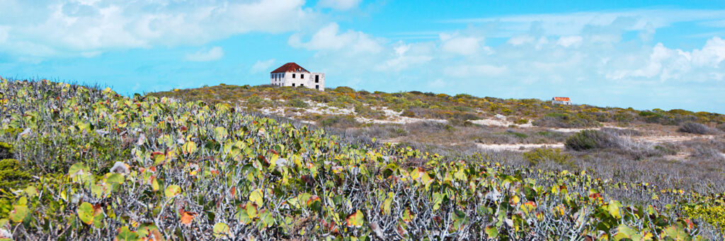 The ruins of Highland House on the southeast coast of South Caicos