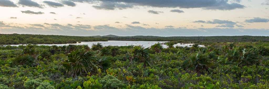 Flamingo Pond on the northwest side of East Caicos