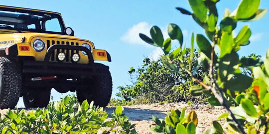 Rental Jeep Wrangler in Turks and Caicos.