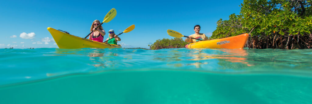 Over-under photo of kayaks in turquoise ocean water and red mangroves trees